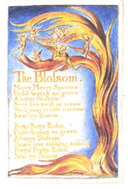 Songs of innocence and experience essay questions