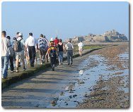 pilgrimage to make quick straightaway